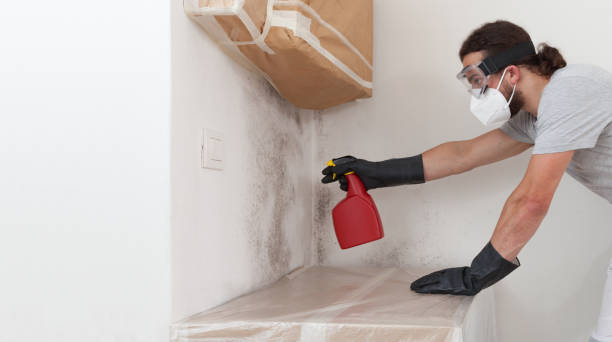 Professional Mold Remediation technician working in Gladstone, MI